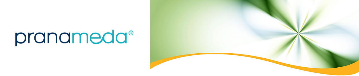 pranameda schule
